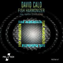 David Calo – Fish Harmonizer