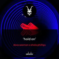 Dave Seaman & Shola Phillips – Hold On