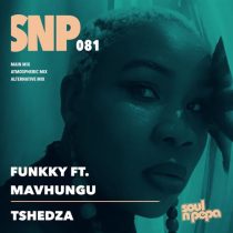 Mavhungu & Funkky – Tshedza