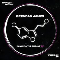 Brendan James – Dance To The Groove EP