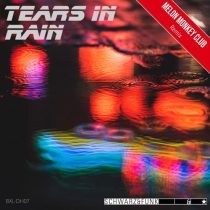 Schwarz & Funk & Melon Monkey Club – Tears in Rain