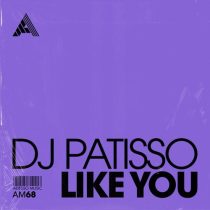 DJ Patisso – Like You – Extended Mix