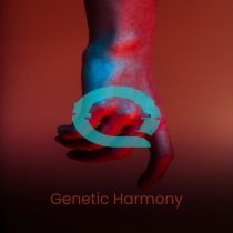 Qarcii – Genetic Harmony