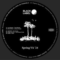 VA – Spring VA ’24