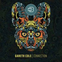 Gareth Cole – Connection