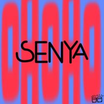 Boy From Suburbs – Senya EP