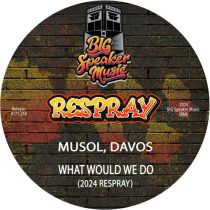 MuSol & dAVOS – What Would We Do (2024 ReSpray)