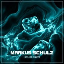 Markus Schulz – Liquid Night