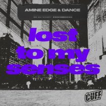 Amine Edge & DANCE – Lost To My Senses