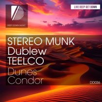 STEREO MUNK & Dublew, TEELCO – Dunes