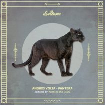 Andres Volta – Pantera