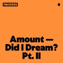 Amount – Did I Dream? Pt. II