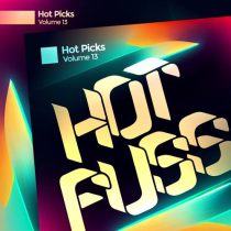 VA – Hot Picks Vol.13