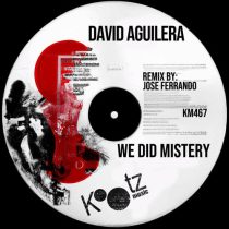 David Aguilera – We Did Mistery