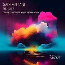 Gadi Mitrani – Reality
