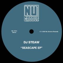 Mr. V & DJ Steaw, DJ Steaw – Seascape EP