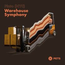 Pinto (NYC) – Warehouse Symphony EP