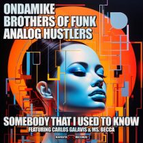Brothers Of Funk, Ondamike, Carlos Galavis, Analog Hustlers, Ms. Becca & Ms Becca – Somebody That I Used To Know feat. Carlos Galavis, Ms Becca