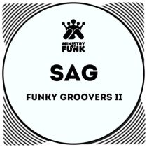 Ministry Of Funk & DJ Hat, Ministry Of Funk – Funky Groovers II