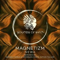 Magnetizm – Newa