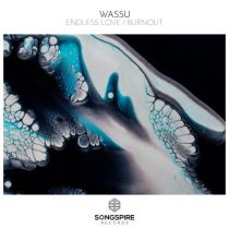 Wassu – Endless Love / Burnout