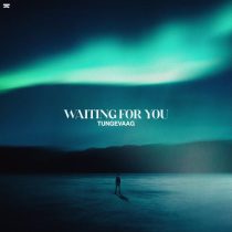 Tungevaag – Waiting For You (Extended Mix)