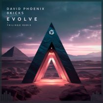 David Phoenix & 8kicks – Evolve