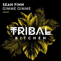 Sean Finn – Gimme Gimme