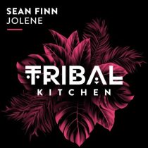 Sean Finn – Jolene