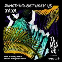 Yaya – Something Between Us EP