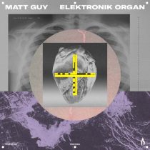 Matt Guy – Elektronik Organ