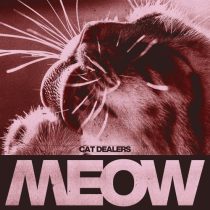 Cat Dealers – MEOW