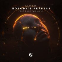 Bhaskar & Dana Williams – Nobody’s Perfect (feat. Dana Williams)