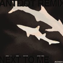 JEWELS, Kenza & LE YORA – Next To Me – Antdot Remix