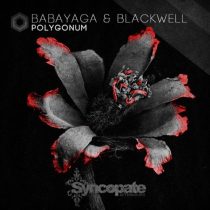 Babayaga & Josh Blackwell – Polygonum (Remastered)