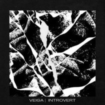Veiga – Introvert EP