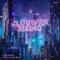 Liam V, Fach & CLUBWRK – Late Night (Extended Mix)