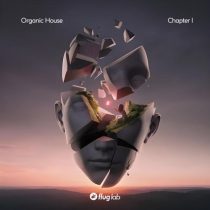 VA – Organic House – Chapter I