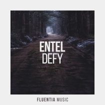 Entel – Defy