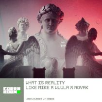 Like Mike, Novak & WUULA – What Is Reality (Extended Mix)