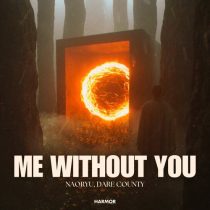 Dare County & NAORYU – Me Without You