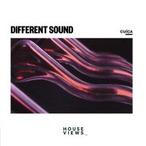 Different Sound – Cuíca