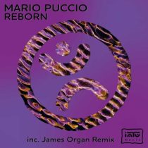 Mario Puccio – Reborn