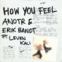 ANOTR, Leven Kali & Erik Bandt – How You Feel