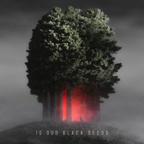 Bjoern Torwellen – 10.000 Black Seeds