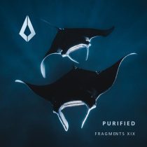 P.LIMA, Spartans, Offtide – Purified Fragments XIX