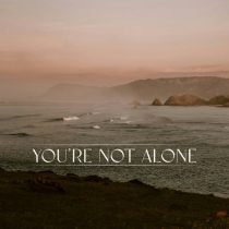 RY X & Punctual – You’re Not Alone