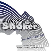 The Shaker – You Ain’t Seen Me