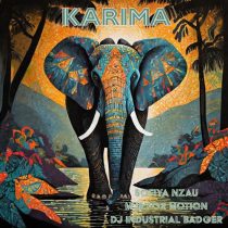 Sofiya Nzau – Karima (DJ Industrial Badger’s Madness Mix)