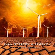 Pimenov & Ivan Starzev – The Earth (Vitaly Shturm Remix)